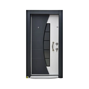 Metal Door