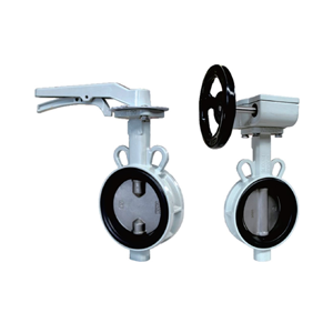 Butterfly Valve