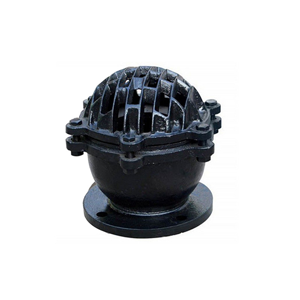 Foot Valve