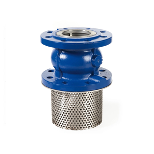 Foot Valve