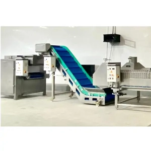 Date Processing Line