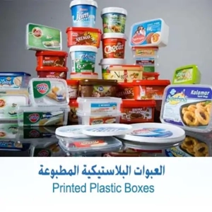 Packaging Box