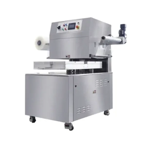 Vacuum Packaging Machine