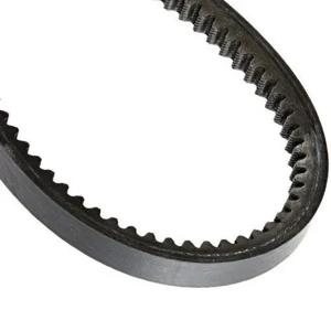 V Belt