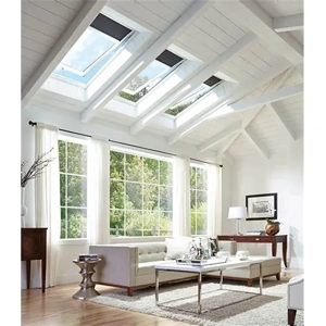 Fixed Skylight