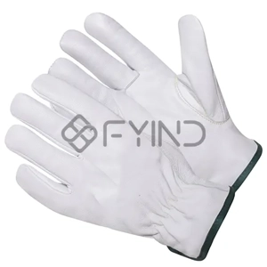 Protective Glove