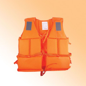 Life Vest
