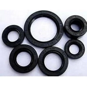 Rubber Seal