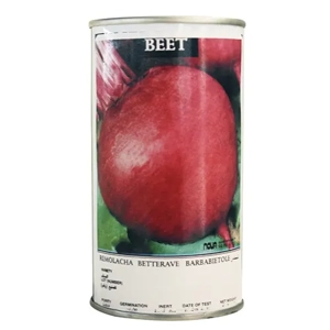 Beet Seed