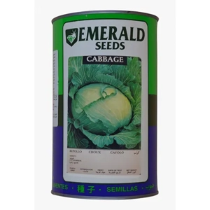 Cabbage Seed