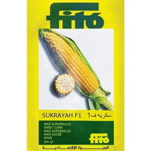 Corn Seed