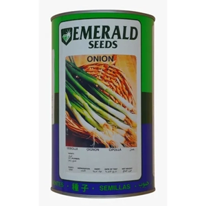 Onion Seed