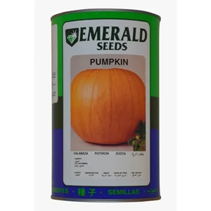 Pumpkin Seed