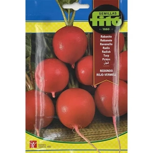 Radish Seed