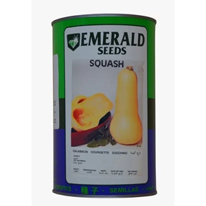 Squash Seed