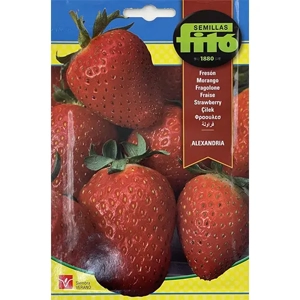 Strawberries Seed