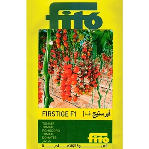 Tomato Seed