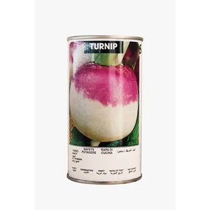 Turnip Seed