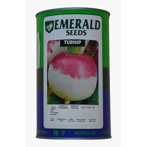 Turnip Seed