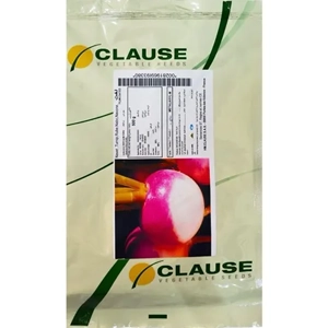 Turnip Seed