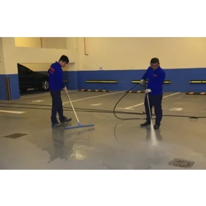 Structural Pest Control