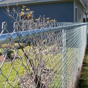 Mesh Fencing