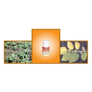 Fungicide