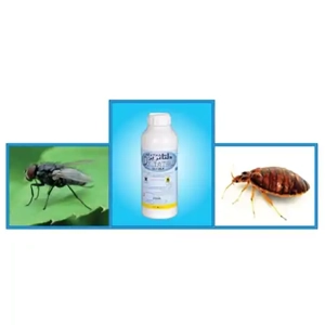 Insecticide