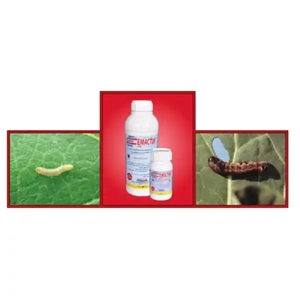 Insecticide