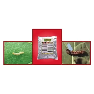 Insecticide