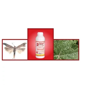 Insecticide