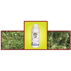 Insecticide
