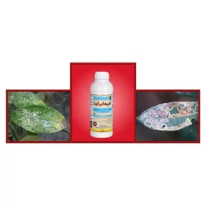 Insecticide