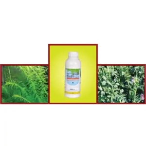 Weed Killer