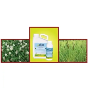 Weed Killer