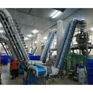 Conveyor System