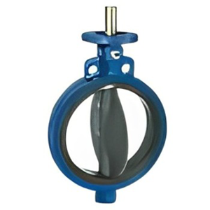 Butterfly Valve