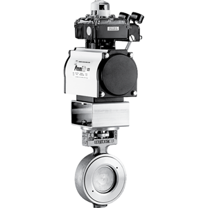 Butterfly Valve