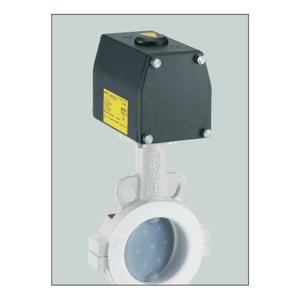 Butterfly Valve