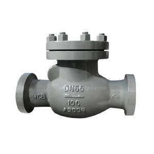 Check Valve