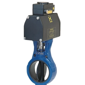 Control Valve