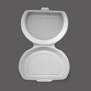 Disposable Food Container