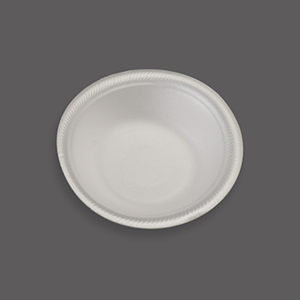 Disposable Food Container
