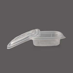 Disposable Food Container