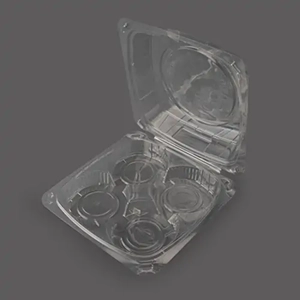 Disposable Food Container