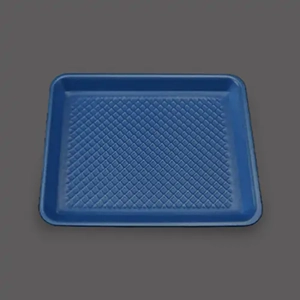 Disposable Food Tray