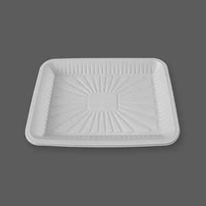 Disposable Food Tray
