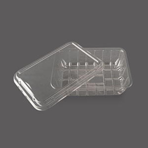 Disposable Food Tray