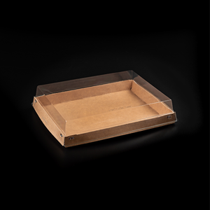 Packaging Box