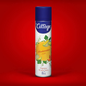 Air Freshener